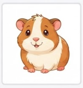 hamster